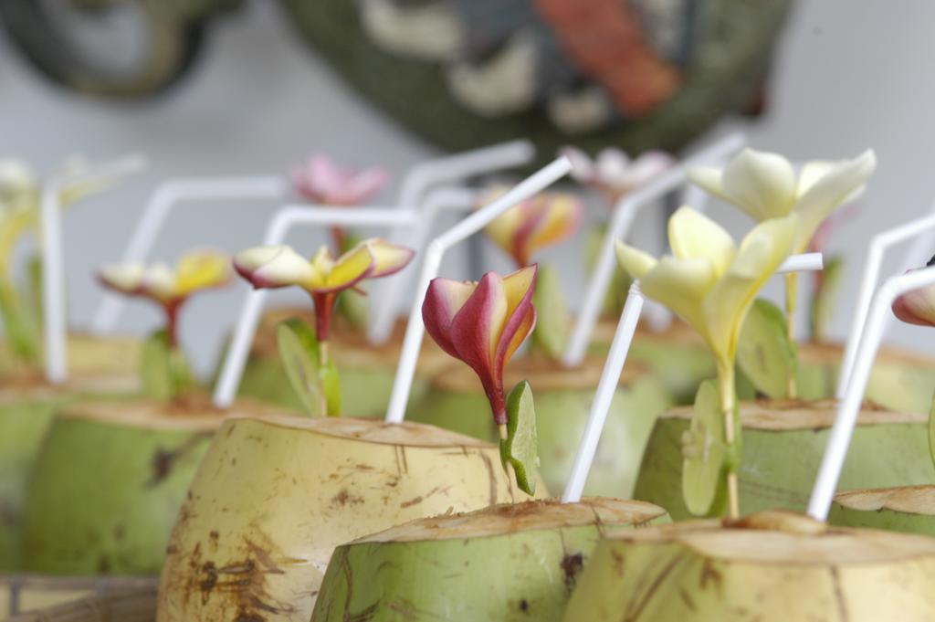 Alami Villa Ubud Dış mekan fotoğraf
