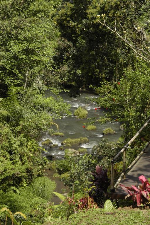 Alami Villa Ubud Dış mekan fotoğraf