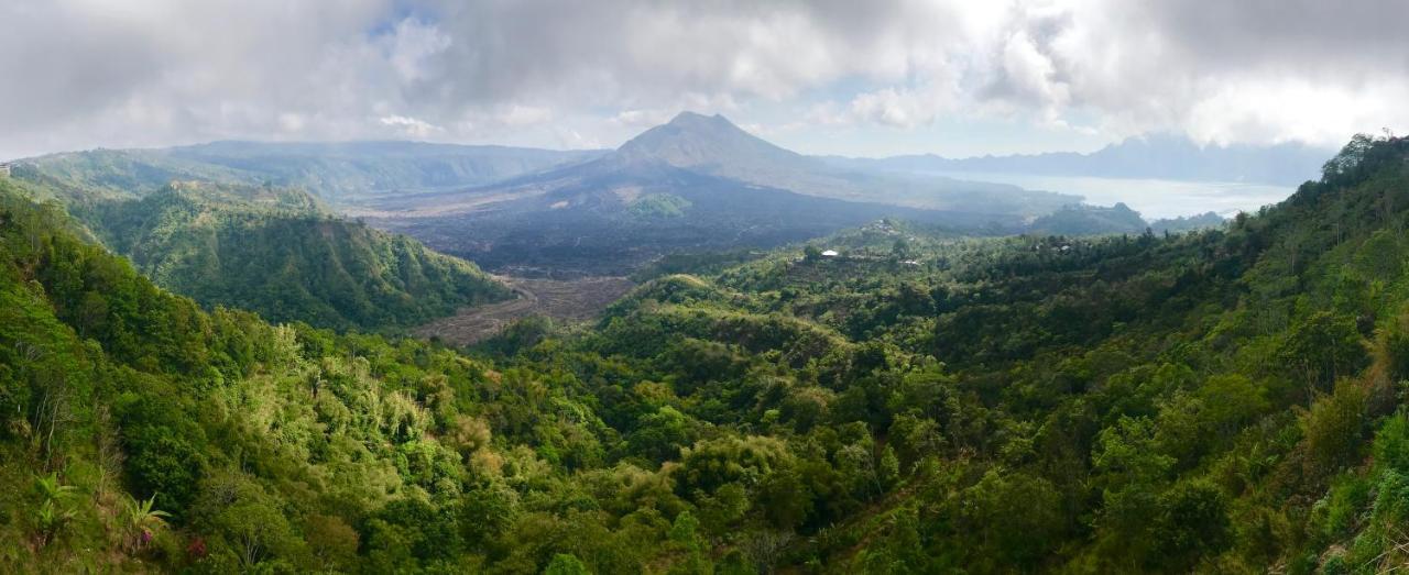 Alami Villa Ubud Dış mekan fotoğraf
